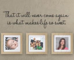 That It Will Never Come Again Is What Makes Life Sweet Home Family Love Picture Frames Wall Quote Sticker Vinyl Decal Art Decor Saying A60 - thumbnail 1