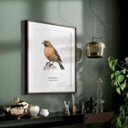 Crossbill Bird Illustrated Print, Wall Decor Prints, Species, Garden Birds - thumbnail 3