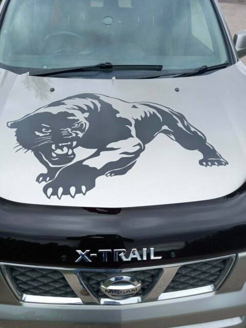 Large 30 X 23 Inch Tiger Panther Claws Vinyl Car Bonnet Side Sticker Decal Wall Art Animal Graphic Silhouette Van Lorry Motorhome Campervan