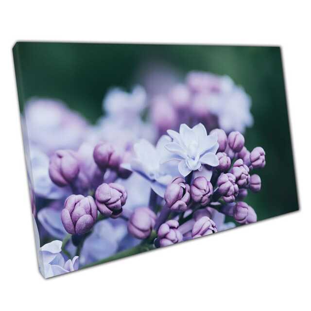 Serene Violet Lilac Floral Canvas Print - Elegant Wall Art For Home Office Decor - image 1