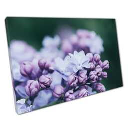 Serene Violet Lilac Floral Canvas Print - Elegant Wall Art For Home Office Decor - thumbnail 1