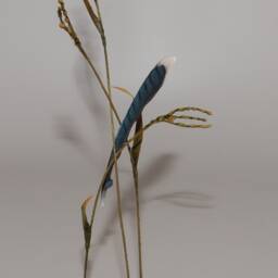 Hand-Carved Blue Jay Feather Suspended By Native Grass - thumbnail 3