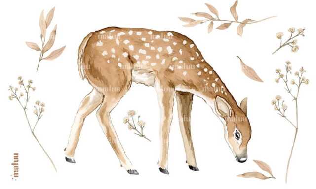Fawn Wall Decal Neutral Woodland Animal Art For Nursery - image 1