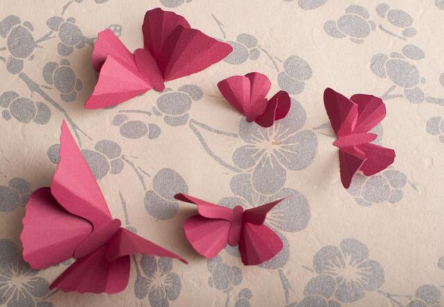 3D Wall Butterflies Raspberry Butterfly Silhouettes For Girls Room, Nursery, & Home Decor - image 1