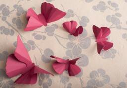 3D Wall Butterflies Raspberry Butterfly Silhouettes For Girls Room, Nursery, & Home Decor - thumbnail 1