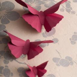 3D Wall Butterflies Raspberry Butterfly Silhouettes For Girls Room, Nursery, & Home Decor - thumbnail 2