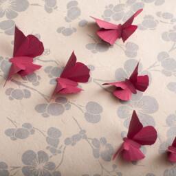 3D Wall Butterflies Raspberry Butterfly Silhouettes For Girls Room, Nursery, & Home Decor - thumbnail 3