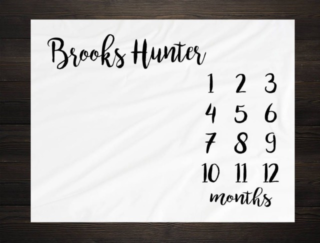Baby Milestone Blanket Month Growth Tracker Fleece Shower Tribal Newborn Gift Minky Boy Rustic Nursery - image 1