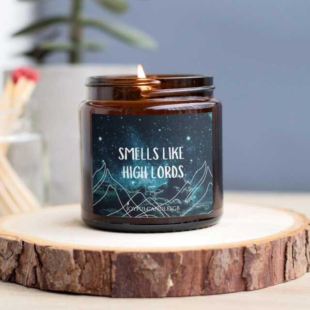 Smells Like Candle, High Lords Bookish Candles, Book Lover Gift, Fandom Candle - image 1