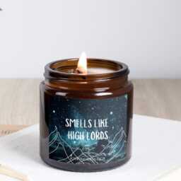Smells Like Candle, High Lords Bookish Candles, Book Lover Gift, Fandom Candle - thumbnail 2