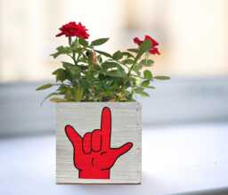 I Love You Sign Language Planter Hand-Painted Wood Succulent Gift - thumbnail 1