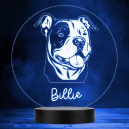 American Bully Dog Pet Multicolour Personalised Gift Led Lamp Night Light - Bedroom - thumbnail 1