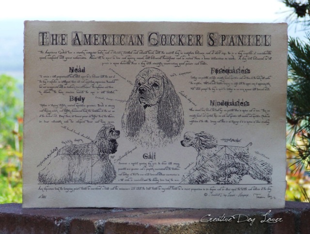 Vintage American Cocker Spaniel Print Antique Style Dog Art - image 1
