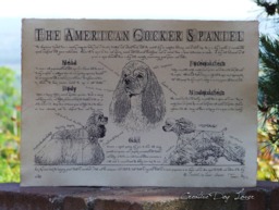 Vintage American Cocker Spaniel Print Antique Style Dog Art - thumbnail 1