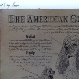 Vintage American Cocker Spaniel Print Antique Style Dog Art - thumbnail 2