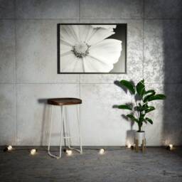 Bar Stool