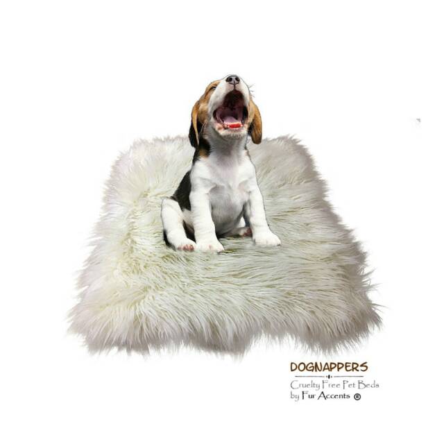 Shaggy Faux Fur Area Throw Rug - Fake Sheepskin Shag Pelt Rectangle Carpet Soft Shag- Plush Designer Decor - image 1