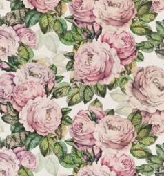 The Rose Tuberose 50 X 50cm Cushion Cover - thumbnail 1