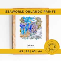 Manta, Seaworld Orlando Theme Park Print A3-A4-A5-A6 - thumbnail 2