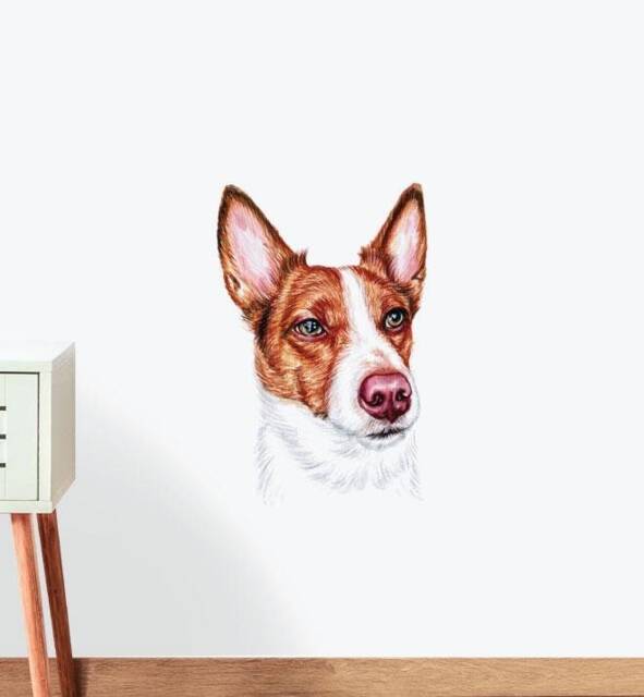 Basenji Dog Wall Sticker Decal - Dogs & Pets Stickers, Art, Decals, Kids Animals Decals