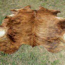 8x8 Brindle Brown Large New Cowhide Rug Natural Hair On - 6x6 Ft Size Approx Tri-Color Chocolate Tones Soft Carpet Cow Hide R-R N - thumbnail 3
