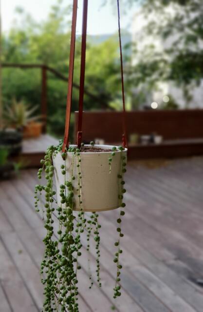 White Hanging Planter With Leather Straps - Minimalist Pottery - image 1