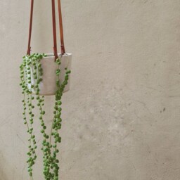 White Hanging Planter With Leather Straps - Minimalist Pottery - thumbnail 3
