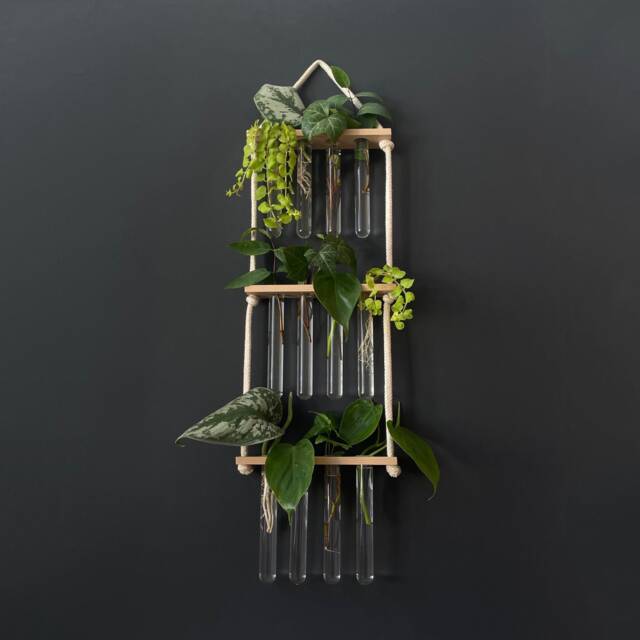 Propagation Station For Plant Cuttings & Propagation, Gift Under ???20 Lovers - image 1