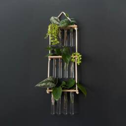 Propagation Station For Plant Cuttings & Propagation, Gift Under ???20 Lovers - thumbnail 1