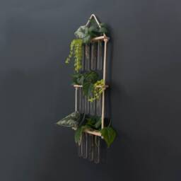 Propagation Station For Plant Cuttings & Propagation, Gift Under ???20 Lovers - thumbnail 2