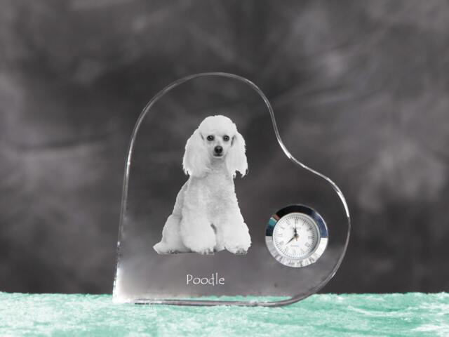 Poodle - Crystal Clock in The Shape Of A Heart With Image Pure-Bred Dog - image 1