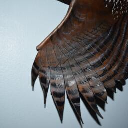 Leather Bird, Red Tail Hawk Wall Hanging - 9-10 Or 13-14 Inch Wingspan Custom Order in This Size - thumbnail 3