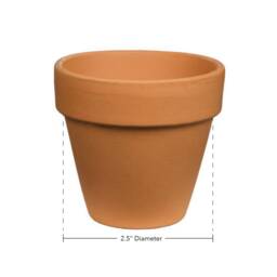 Zz Planter/Indoor Cactae Succulent Plants Gardening Plant Gift Stand Terracotta Pot Pot - thumbnail 4