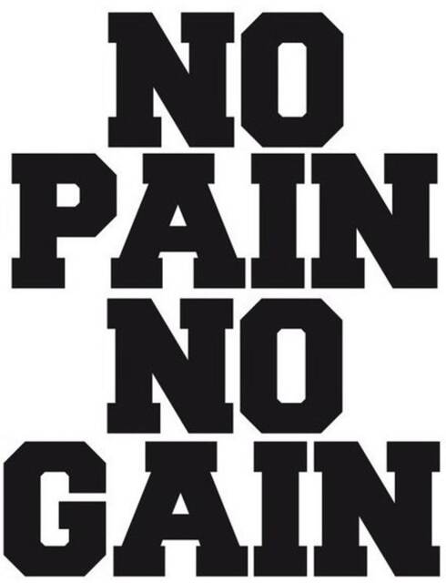 No Pain Gain Gym Decal Decor Vinyl Sticker Graphic Sign Wall Art Home Quote Motivation Fitness Training Trainer Keepfit