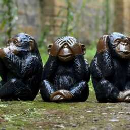 Outdoor Near No Evil Monkey Figurine Concrete Chimpanzee Garden & Home Sculpture Unique Cement Animal Decoration Wildlife Yard Art Statue - thumbnail 4