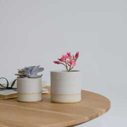 Ceramic Pastel Plant Pots in 3 Sizes - thumbnail 2