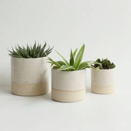 Ceramic Pastel Plant Pots in 3 Sizes - thumbnail 3