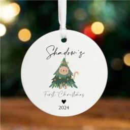 Personalised Cats First Christmas Bauble, Porcelain Hanging Tree Decoration, Animal Pet Keepsake Gift, 1st Bauble With Name Year - thumbnail 1