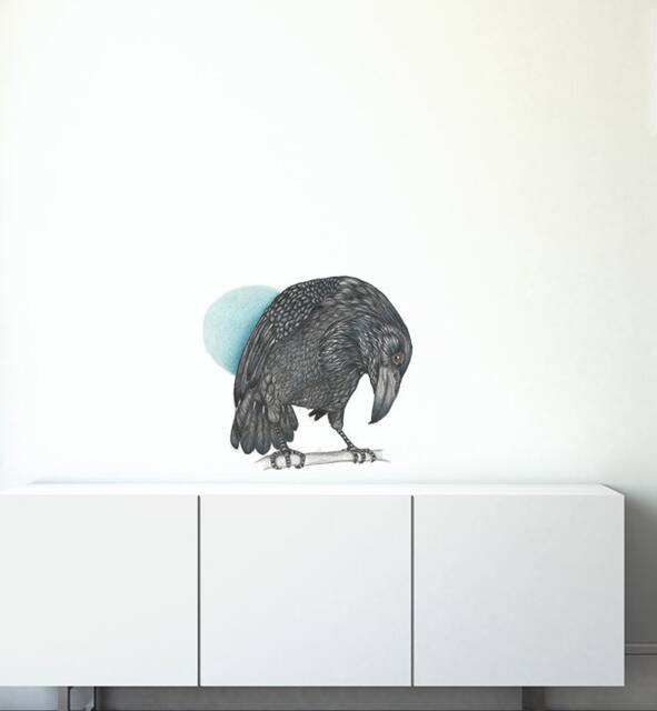 Curious Raven Wall Sticker Decal - Kids Stickers, Animals Childrens Decals, Art, Room, Girl, Boy