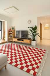 Red & White Checkered Moroccan Berber Rug - Handwoven Wool Area - thumbnail 1