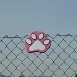 5 Mirrors Cat Paw, Decorative Wall Mirror Cat's Paw Shaped, For Walls, Cat Lover Must Have, Decor, Pink With Violet Hemp Rope - thumbnail 1