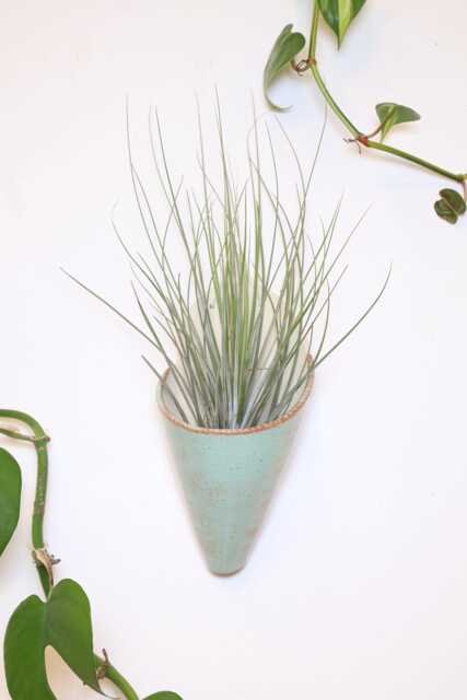 Ceramic Wall Planter, Large Cone By Carter + Rose - image 1