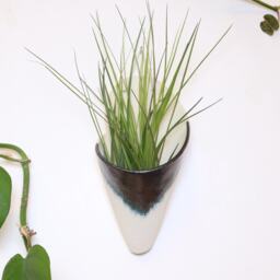 Ceramic Wall Planter, Large Cone By Carter + Rose - thumbnail 2