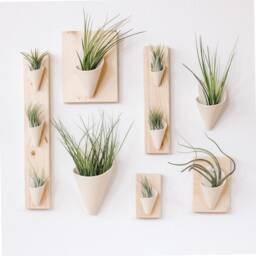 Ceramic Wall Planter, Large Cone By Carter + Rose - thumbnail 4