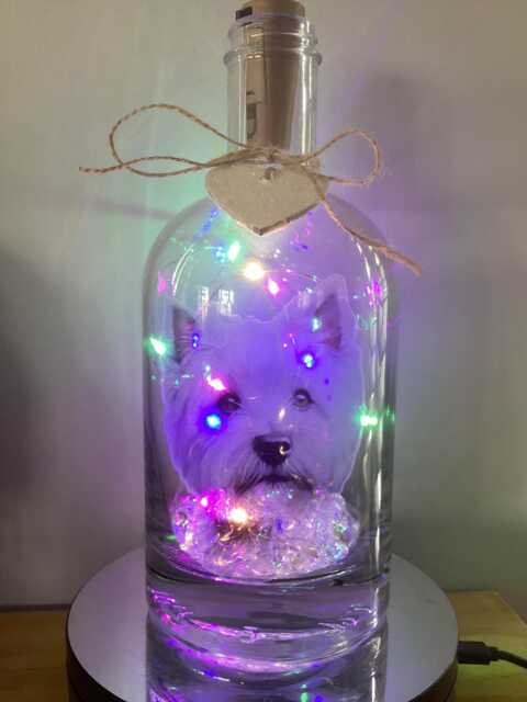 Personalised West Highland Terrier Light Up Bottle, Bottle Lamp With Gift Messaging Service & Bag