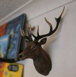 stag Painted & Airbrushed Wall Art - Animal Wall Mount- 3D Printed Multiple Colours Available - thumbnail 1