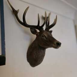 stag Painted & Airbrushed Wall Art - Animal Wall Mount- 3D Printed Multiple Colours Available - thumbnail 4