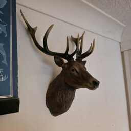 stag Painted & Airbrushed Wall Art - Animal Wall Mount- 3D Printed Multiple Colours Available - thumbnail 3