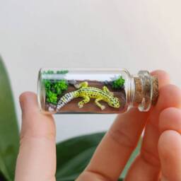 Different Leopard Gecko Morphs in Glass-Bottle/Unique Miniature Figure/ Handmade Artwork Customizable - thumbnail 4