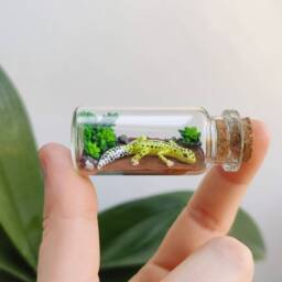 Different Leopard Gecko Morphs in Glass-Bottle/Unique Miniature Figure/ Handmade Artwork Customizable - thumbnail 2